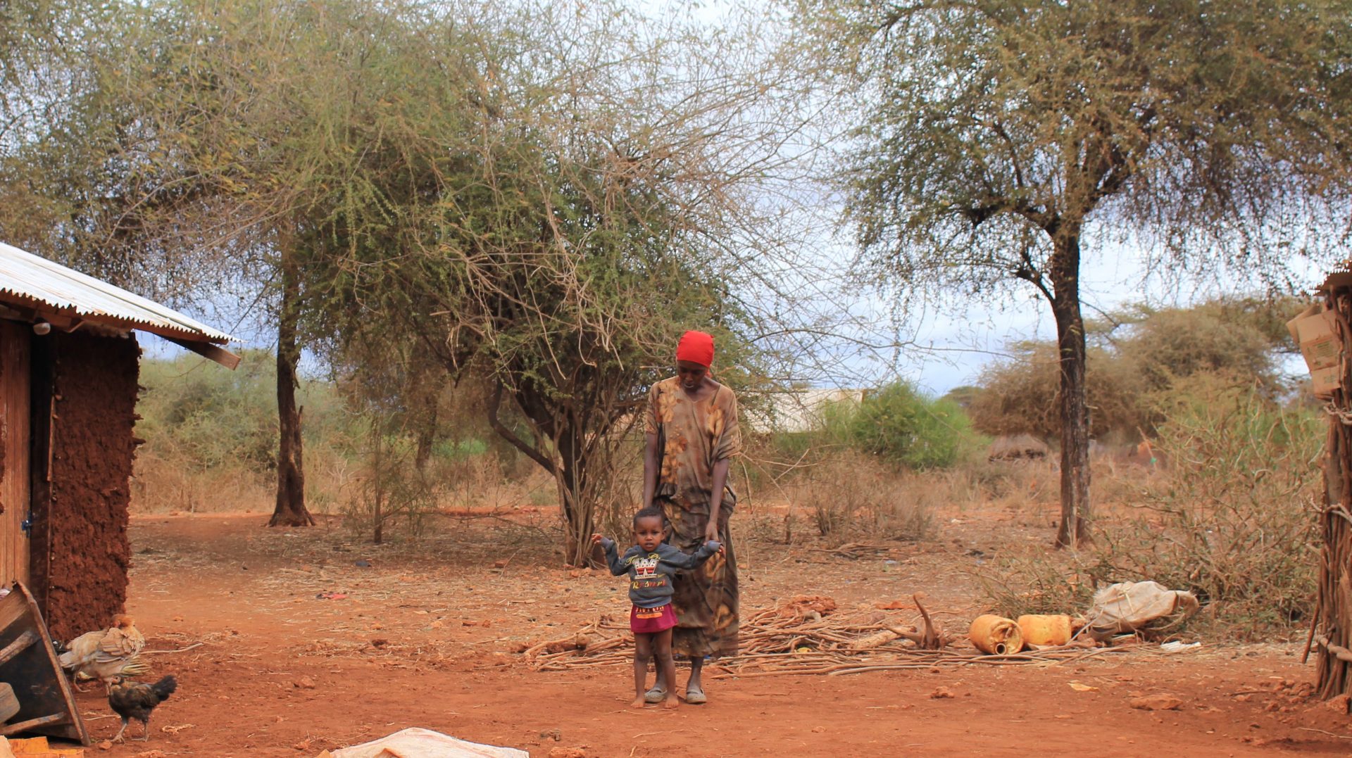 Den værste tørke i 40 år har udløst sultkatastrofe i landene på Afrikas Horn. Foto: Anne Kidmose